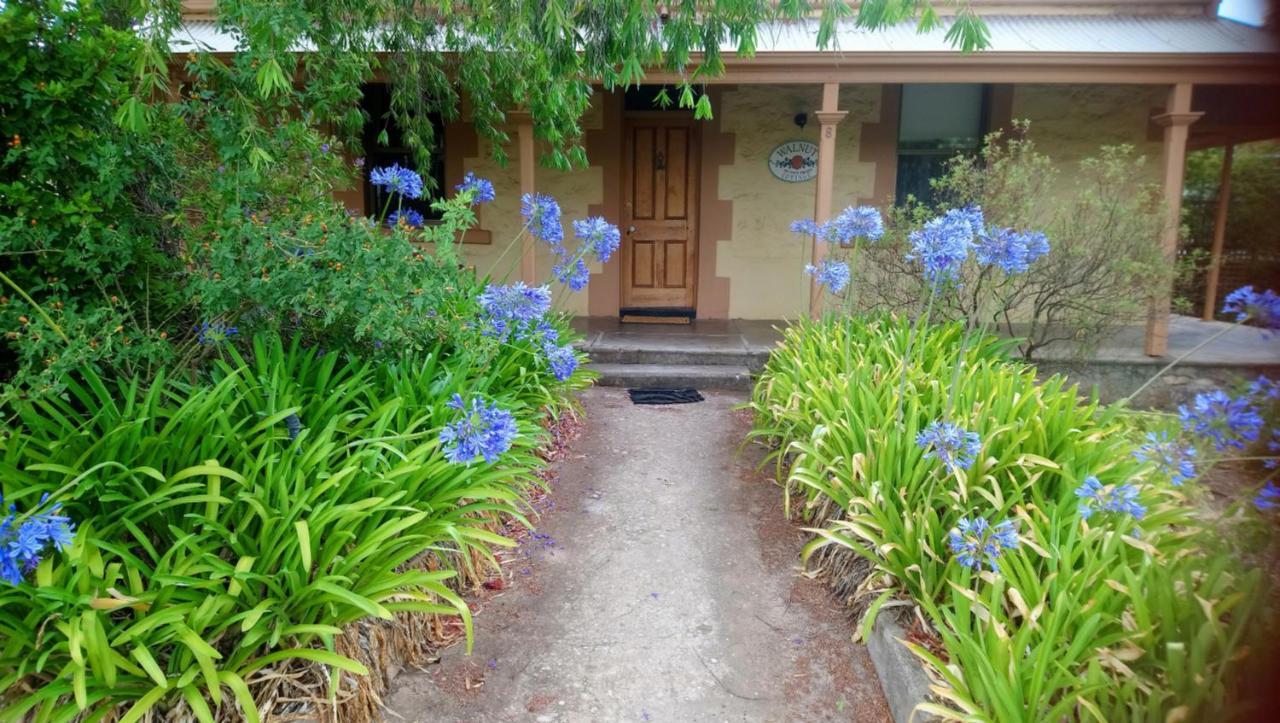 Walnut Cottage 앵거스톤 외부 사진